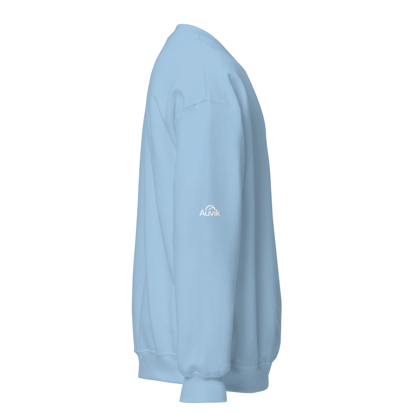 Space Bear Crewneck Sweatshirt