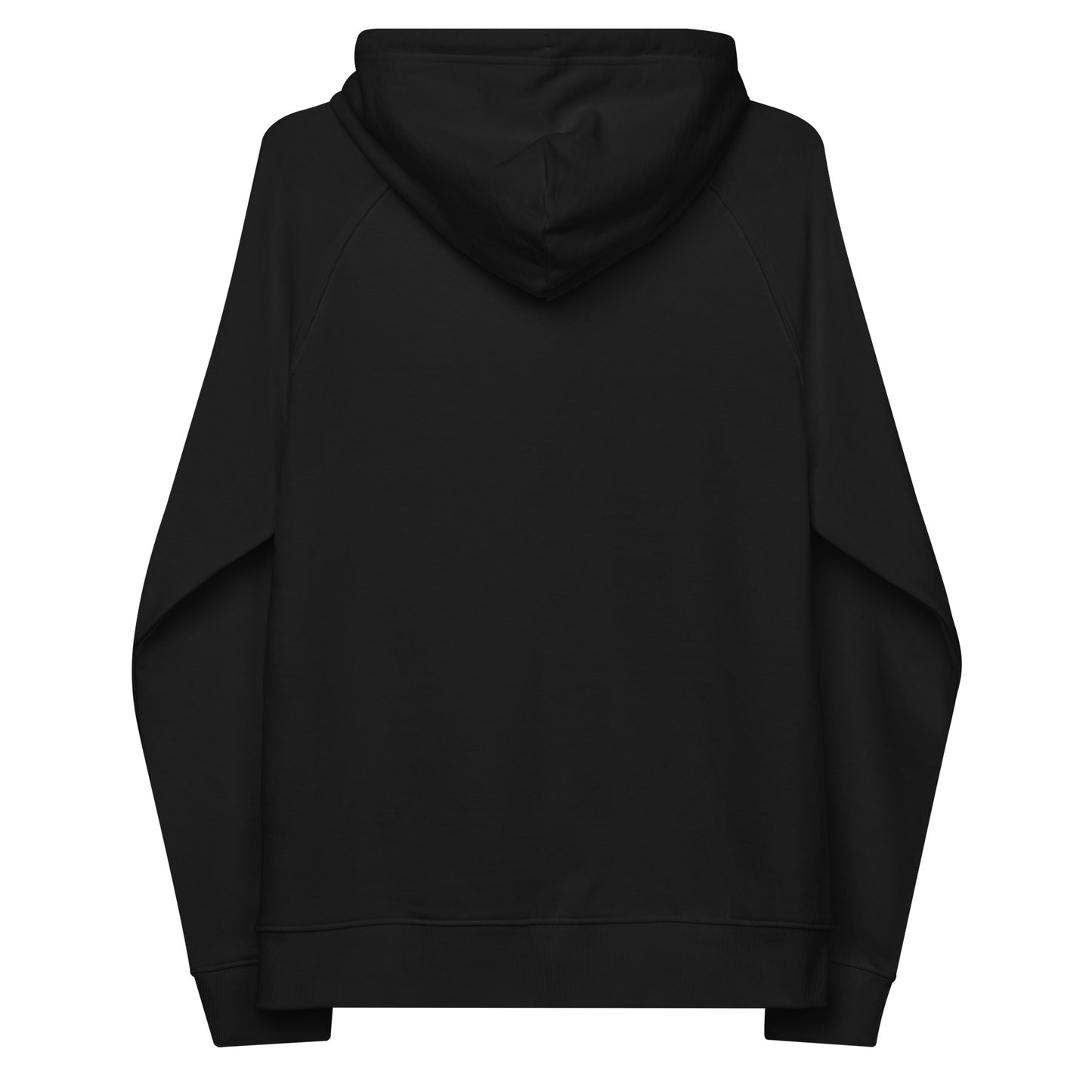 Auvik Unisex Eco Raglan Hoodie