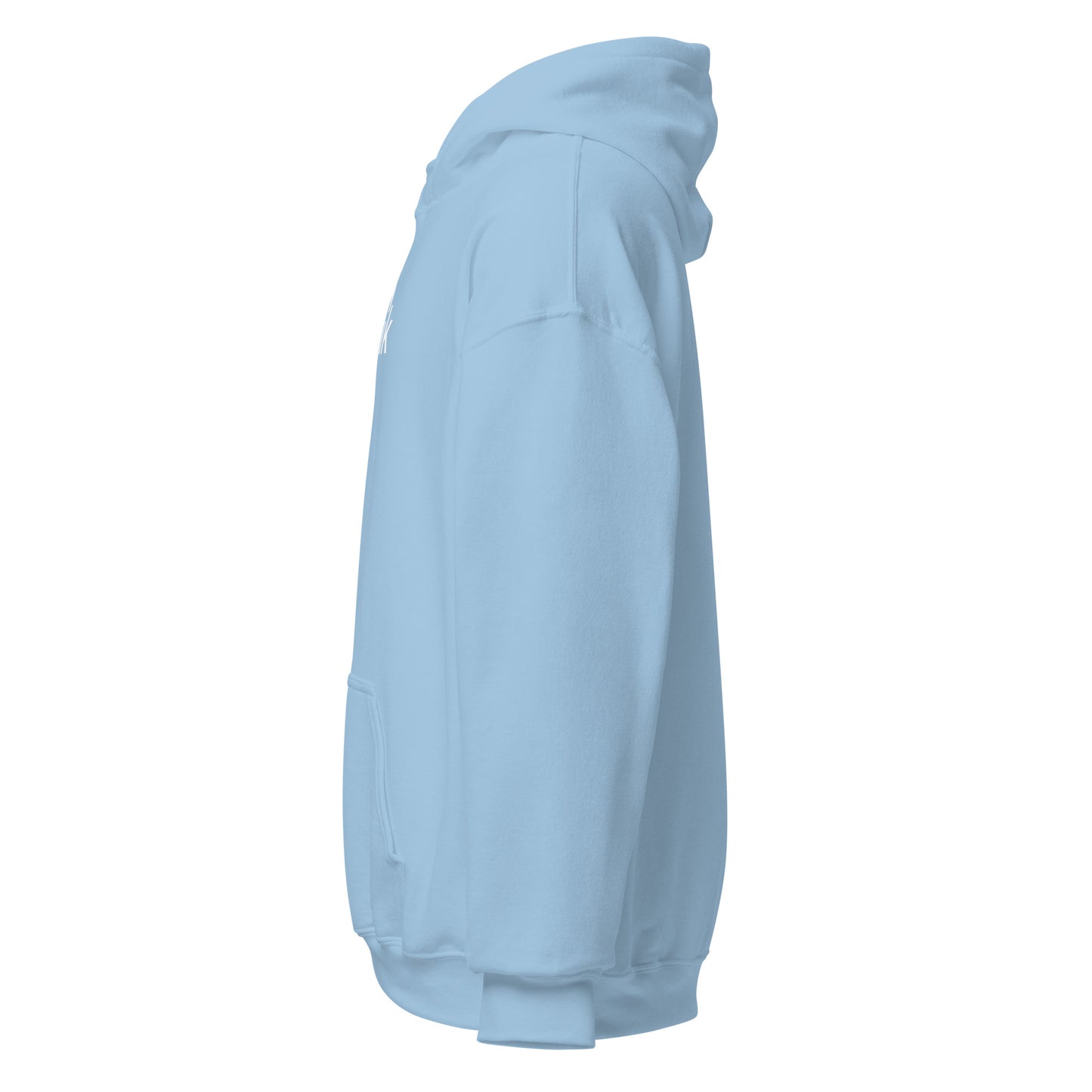 Auvik Blue Hoodie