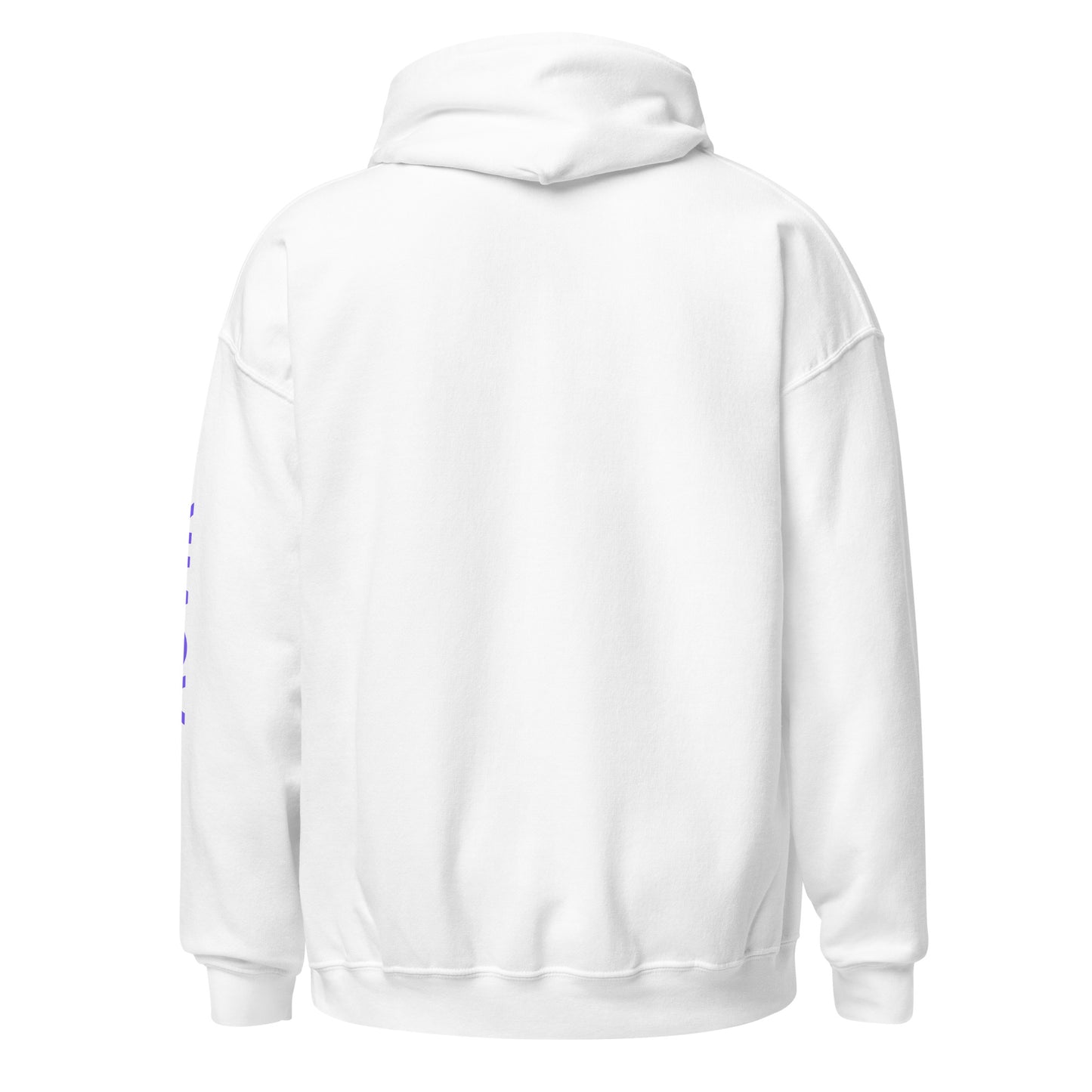 Auvik Bear Hoodie