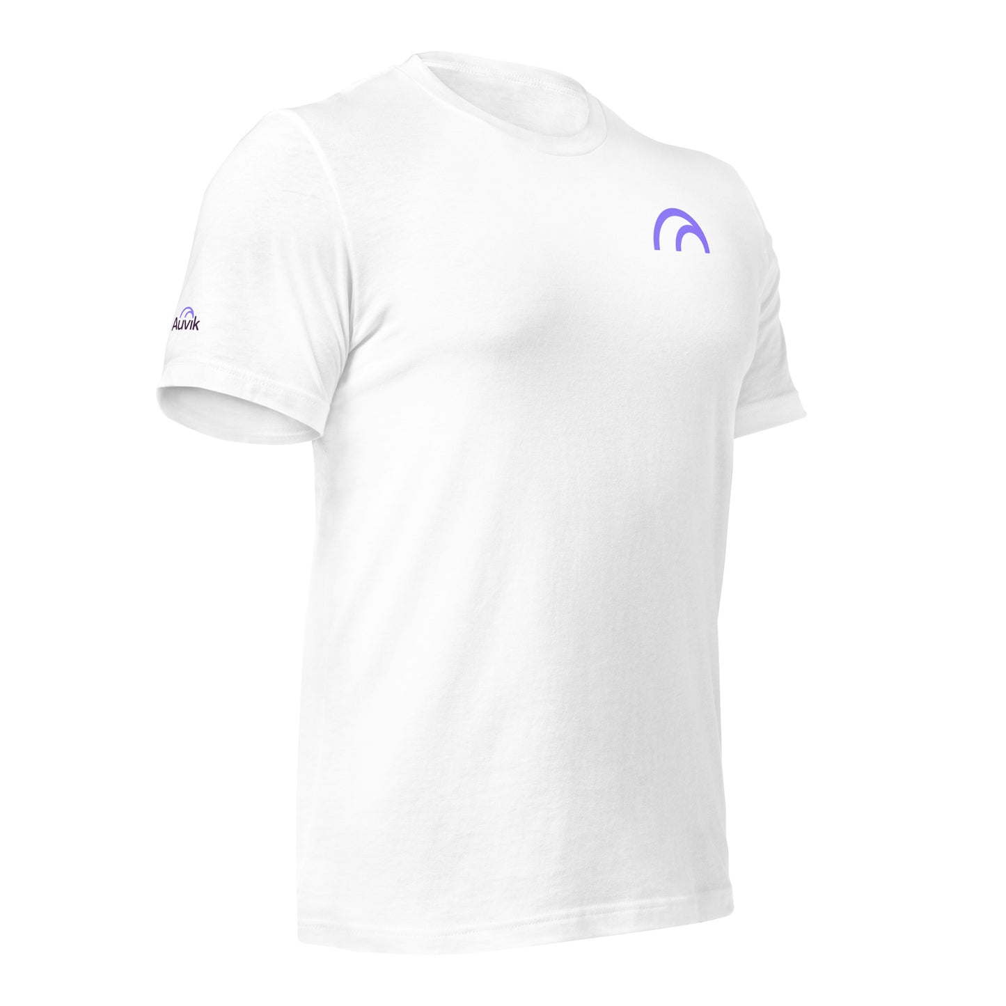 Auvik Arches T Shirt