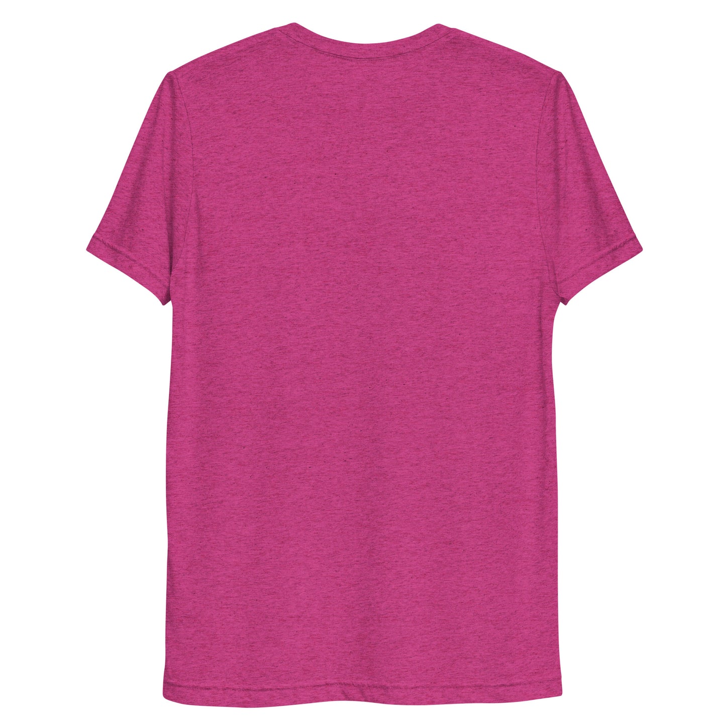 Auvik Logo Triblend T Shirt