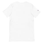 Auvik Arches T Shirt